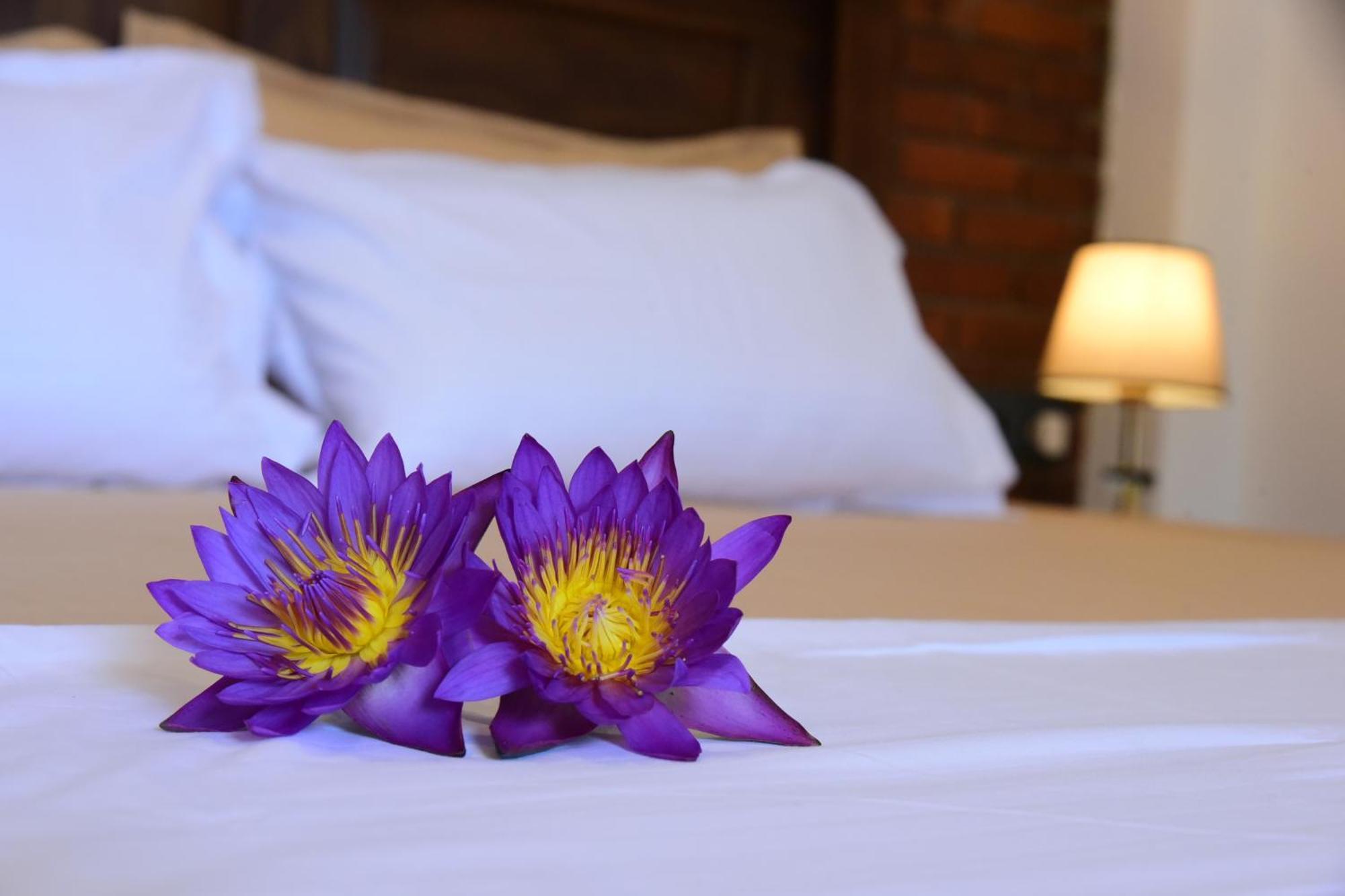 Ocean Ripples Hotel Hikkaduwa Bagian luar foto
